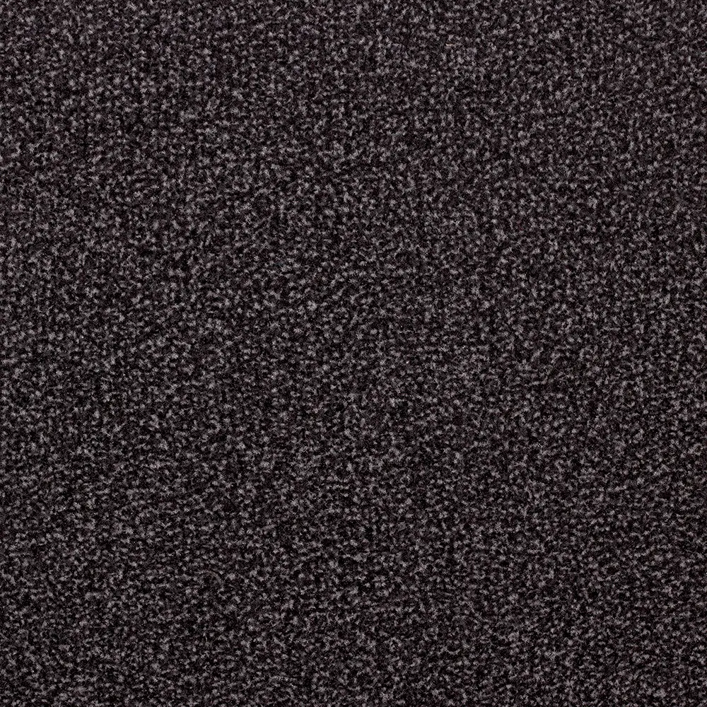 EMCO-Sauberlaufmatte Favorit  90 x 150 cm